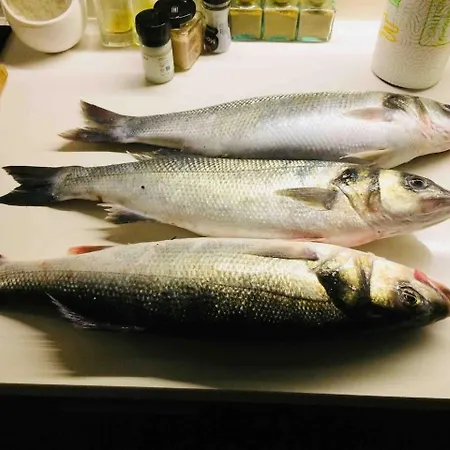 Beachliving エスモリス